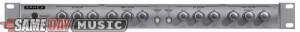 Aphex 204 Aural Exciter and Big Bottom