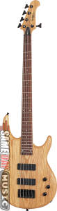 Epiphone Embassy Standard V Electric Bass-Electric Bass Guitars: Epiphone Embassy Standard V Electric Bass 