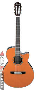Ibanez AEG10NE Classical Cutaway Acoustic-Electric Guitar Picture