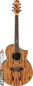 Ibanez EW20ZWE Exotic Wood Acoustic Electric Guitar Picture