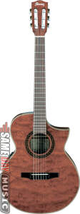 Ibanez EW28BGE Exotic Wood Classical Acoustic-Electric Guitar
