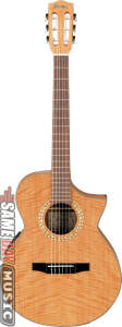 Ibanez EWN28SYE Exotic Wood Classical Acoustic-Electric Guitar Picture