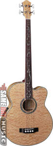 Michael Kelly Dragonfly 4 Fretless Acoustic-Electric Bass