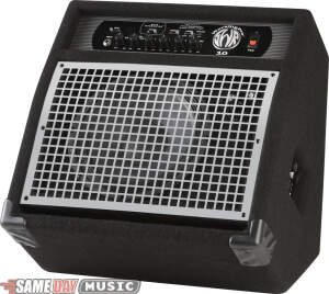 SWR WorkingPro 10 Bass Combo Amplifier