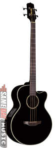 Takamine EG512CB Acoustic-Electric Bass