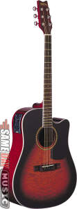 Washburn D10CEQ Dreadnought Cutaway Acoustic Electric Guitar