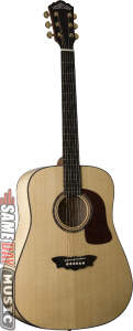 Buy Washburn D48SW All Solid Wood Acoustic Guitar (With Case)
