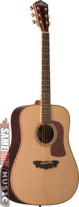 Washburn D56SW Timbercraft Acoustic Guitar (with Case) Picture