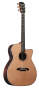 Alvarez WY1 Yairi Folk Cutaway Acoustic-Electric Guitar (with Case)