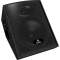 Behringer S1220F Eurolive 2-Way Floor Monitor 280 Watts  1x12 in.