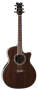 Dean Exotica Walnut Acoustic-Electric Guitar