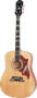 Epiphone Dove Dreadnought Acoustic Guitar