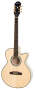Epiphone Performer SE Venetian Jumbo Acoustic-Electric Guitar