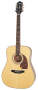 Epiphone Masterbilt DR500M Acoustic Guitar