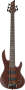 ESP LTD D5 5-String Electric Bass