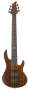 ESP LTD D6 Neck-Thru 6-String Electric Bass Guitar