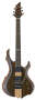 ESP LTD F2E Electric Guitar