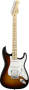 Fender American Standard Stratocaster HSS Electric Guitar Maple  With Case