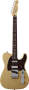 Fender Nashville Telecaster Electric Guitar Rosewood  with Gig Bag