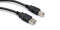 Hosa USB 2.0 Cable (USB A to USB B)