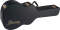 Ibanez AC100C Case for AES Masa and Talman Guitars