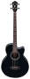 Ibanez AEB10E Acoustic-Electric Bass