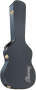  - Item:IBAAEG10C