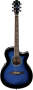 Ibanez AEG10E AEG Cutaway Acoustic-Electric Guitar