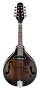 Ibanez M510E A-Style Acoustic-Electric Mandolin