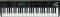 Korg X5D 61-Key Portable Synthesizer