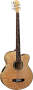 Michael Kelly Dragonfly 5 5-String Fretless Acoustic-Electric Bass