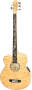 Michael Kelly Dragonfly 5 Left-Handed 5-String Fretless Acoustic-Electric Bass