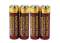 Monster AA Alkaline PowerCells 2850 mAh Capacity