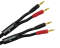 Monster Cable Studio Pro 1000 Speaker Cable (Banana to Banana Plugs)