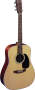 Martin D28 Dreadnought Acoustic Guitar (with Case)