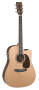 Martin DC16RGTE AURA Dreadnought Acoustic-Electric Guitar (with Case)
