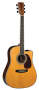 Martin DC Trey Anastasio Acoustic Guitar (with Case)