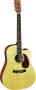 Martin DCX1E Dreadnought Cutaway Acoustic-Electric Guitar