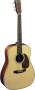 Martin HD28 Acoustic Guitar (with Case)