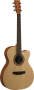 Martin XC1T Ellipse Acoustic-Electric Guitar