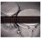 Notion Percussion 2 Sound Expansion Kit for Notion Software