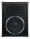 Peavey SP5 2-Way PA Cabinet 800 Watts  15 in.
