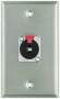 Proco Wall Plate with Single Female 1/4-inch TRS (Model WP1006)