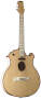 Parker P10E Acoustic-Electric Guitar (with Case)