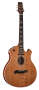 Parker P7EQS Quilt Top Acoustic-Electric Guitar (with Case)