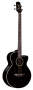 Takamine EG512CB Acoustic-Electric Bass