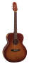 Takamine EG5403S NEX Flame Acoustic-Electric Guitar