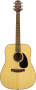 Takamine G340 Dreadnought Acoustic Guitar