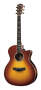 Taylor 814CE Grand Auditorium Cutaway Acoustic-Electric Guitar (with Case)