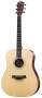 Taylor DN3 Dreadnought Acoustic Guitar (with Case)